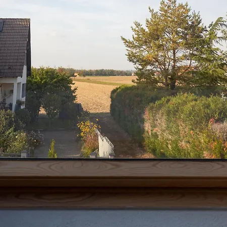 Ferienhaus Strasbourg - Cerf - Prive, Sauna, Borne D'arcade, Babyfoot