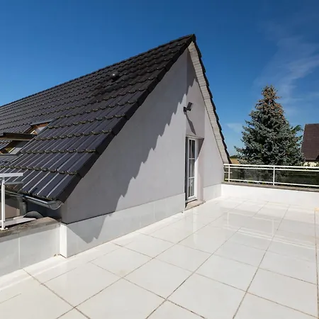 Cerf - Prive, Climatisation, Sauna, Borne D'arcade, Babyfoot Ittenheim